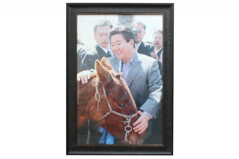 [사진액자]몽골대통령에게서 선물받은 조랑말을 쓰다듬는 노무현 대통령